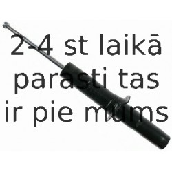 Amortizators SACHS 311 928