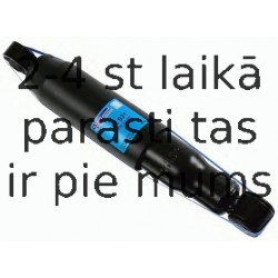 Amortizators SACHS 311 931