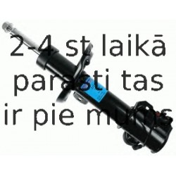 Amortizators SACHS 312 015