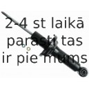 Amortizators SACHS 312 083