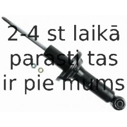 Amortizators SACHS 312 083