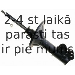 Amortizators SACHS 312 163