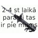 Amortizators SACHS 312 196