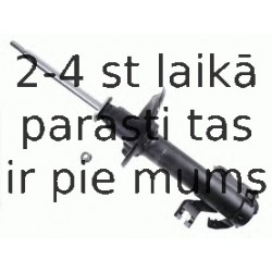 Amortizators SACHS 312 196