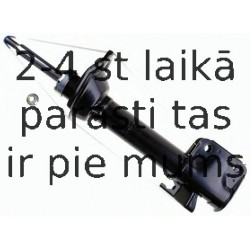 Amortizators SACHS 312 204