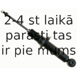 Amortizators SACHS 312 209