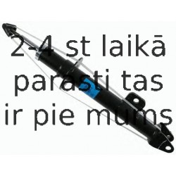 Amortizators SACHS 312 258