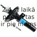 Amortizators SACHS 312 289