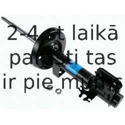 Amortizators SACHS 312 294