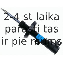 Amortizators SACHS 312 297