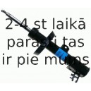 Amortizators SACHS 312 298