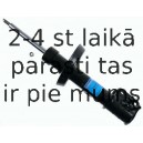 Amortizators SACHS 312 317