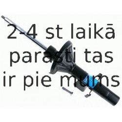 Amortizators SACHS 312 339