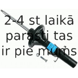 Amortizators SACHS 312 345