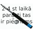 Amortizators SACHS 312 348