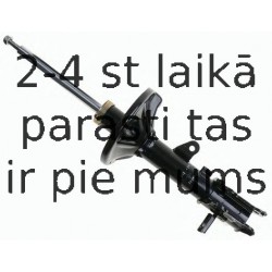 Amortizators SACHS 312 429