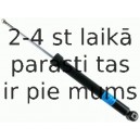 Amortizators SACHS 312 468