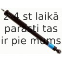 Amortizators SACHS 312 567