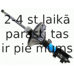 Amortizators SACHS 312 579