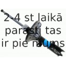 Amortizators SACHS 312 580