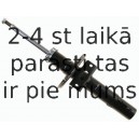 Amortizators SACHS 312 594