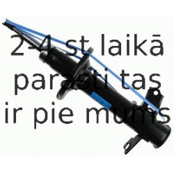 Amortizators SACHS 312 677