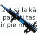 Amortizators SACHS 312 678