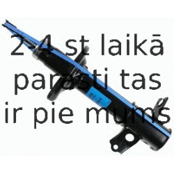 Amortizators SACHS 312 678