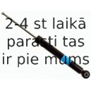 Amortizators SACHS 312 784