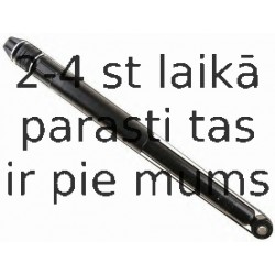 Amortizators SACHS 312 823