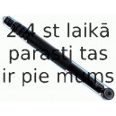 Amortizators SACHS 312 829