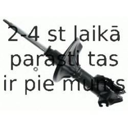 Amortizators SACHS 312 887