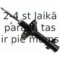 Amortizators SACHS 312 891