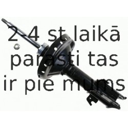 Amortizators SACHS 312 893