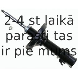 Amortizators SACHS 312 894