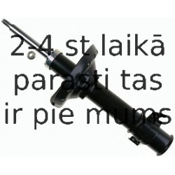 Amortizators SACHS 312 895