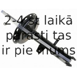 Amortizators SACHS 312 901