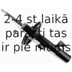 Amortizators SACHS 312 905