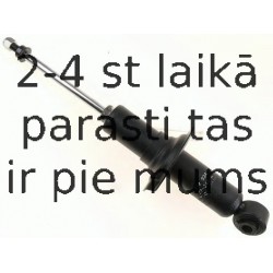 Amortizators SACHS 312 924