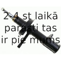 Amortizators SACHS 312 930