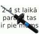 Amortizators SACHS 313 033