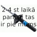 Amortizators SACHS 313 034