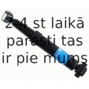 Amortizators SACHS 313 051