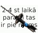 Amortizators SACHS 313 152