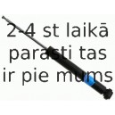 Amortizators SACHS 313 160