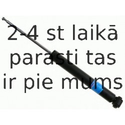 Amortizators SACHS 313 160