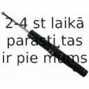 Amortizators SACHS 313 186