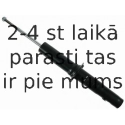 Amortizators SACHS 313 186