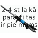 Amortizators SACHS 313 188