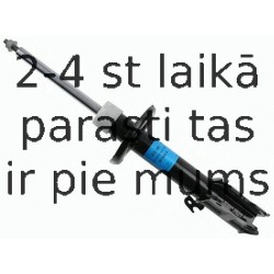 Amortizators SACHS 313 188